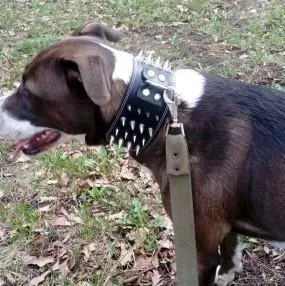 3 inch Leather Spike Studded Dog Collar