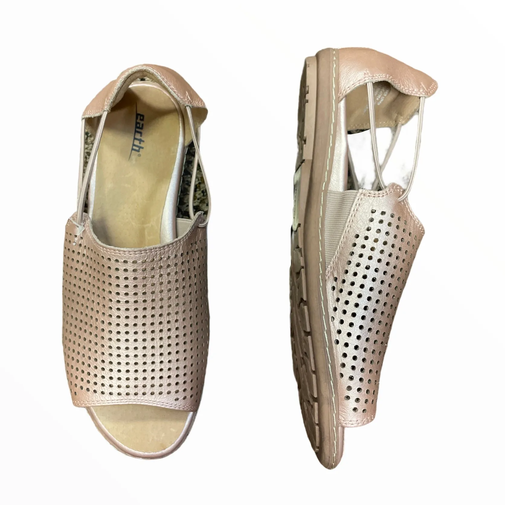 Sandals Flat By Earth  Size: 9.5
