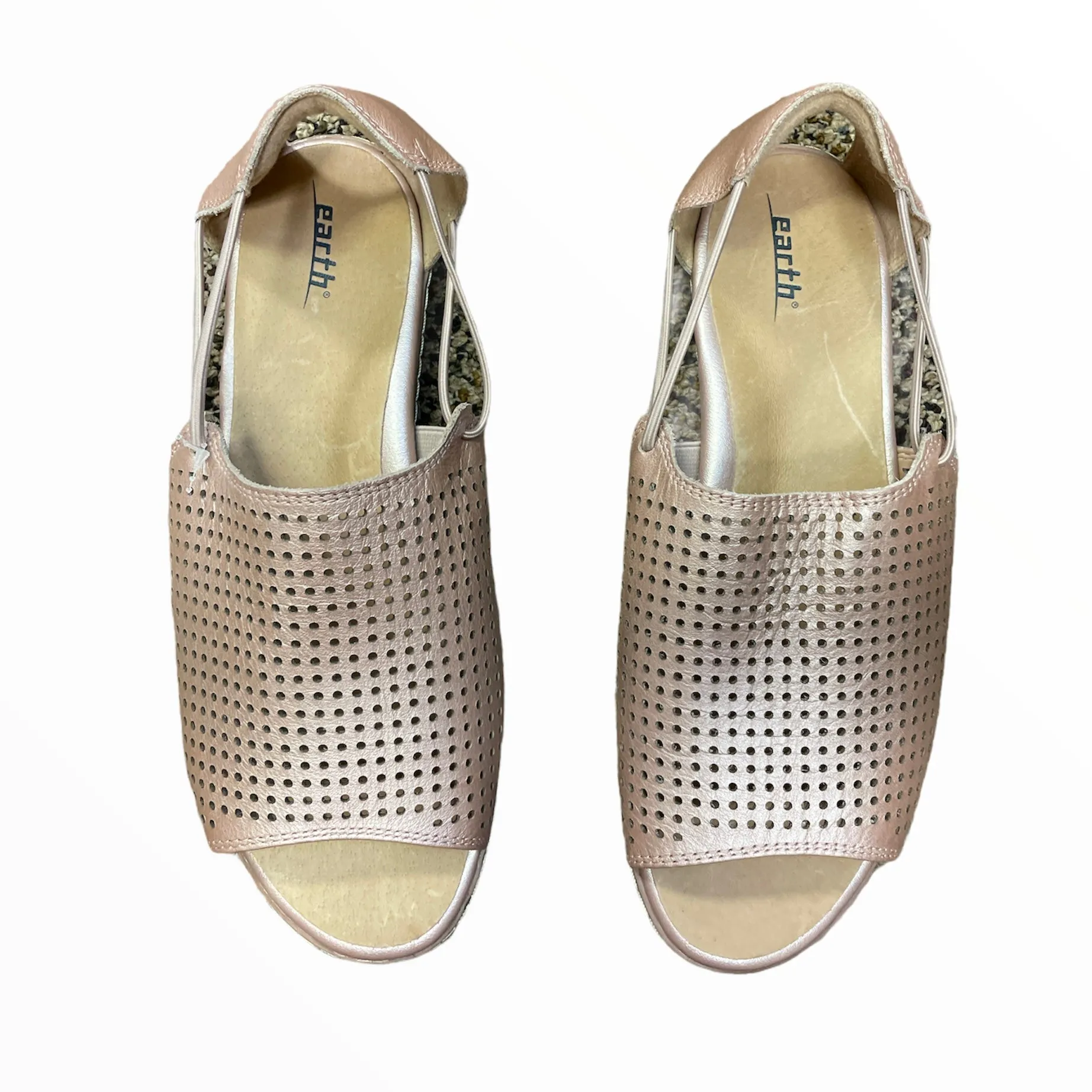 Sandals Flat By Earth  Size: 9.5